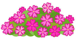 yjimage[1].jpgのサムネール画像